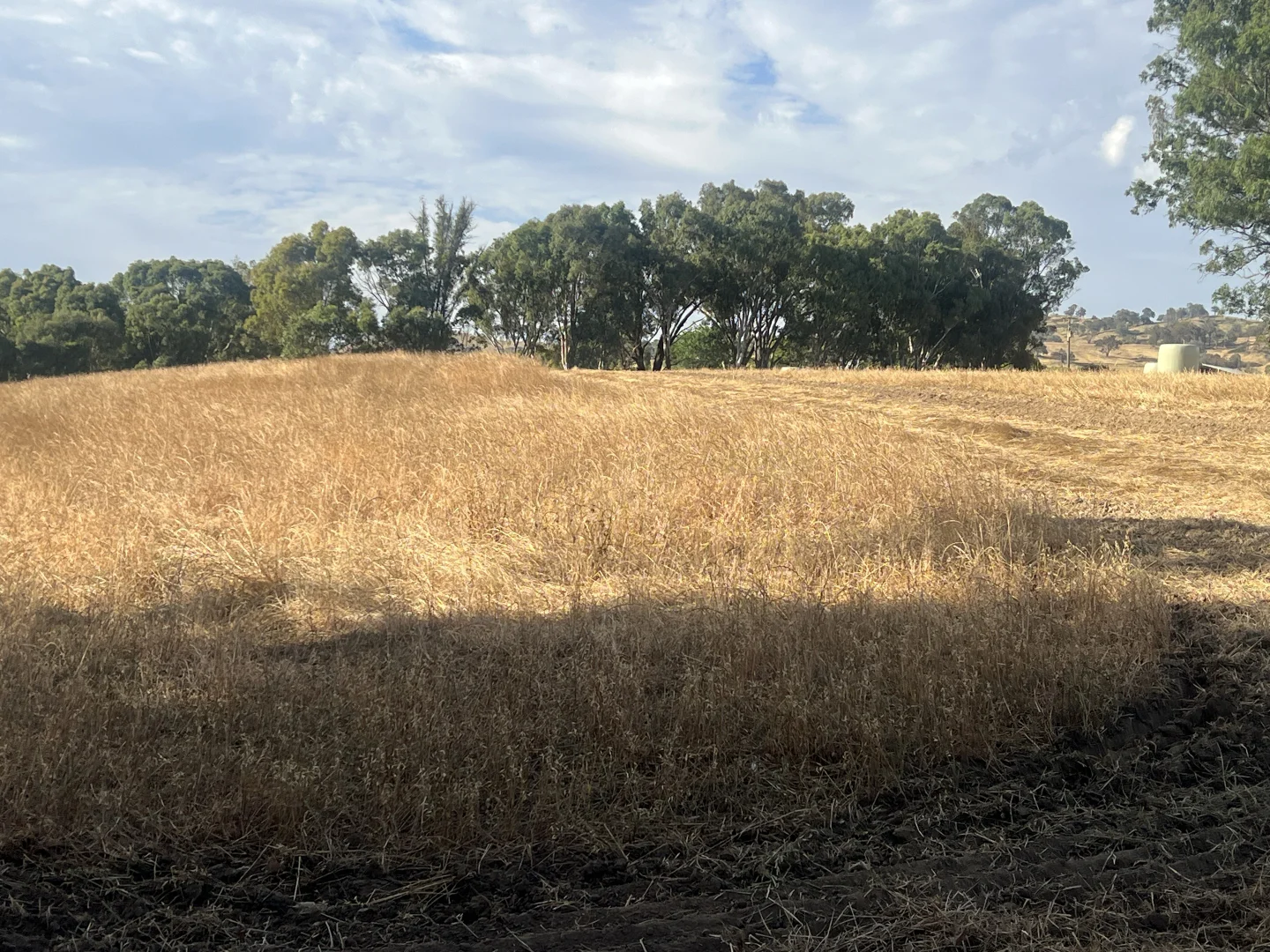 Additional image 9 of Lot 27 Sandy Creek Road, Sandy Creek VIC 3695