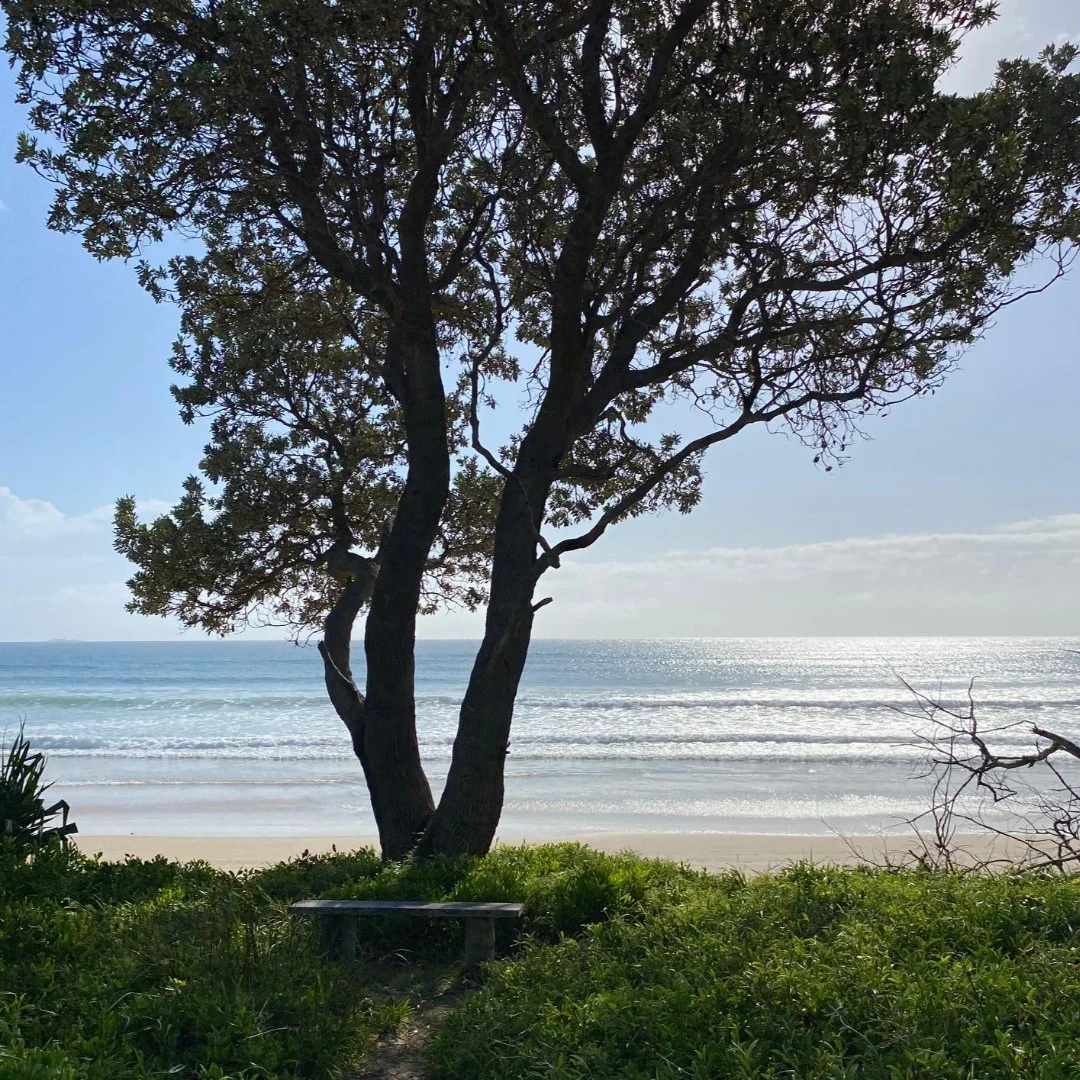 Additional image 32 of 2536 Solitary Islands Way, Arrawarra NSW 2456