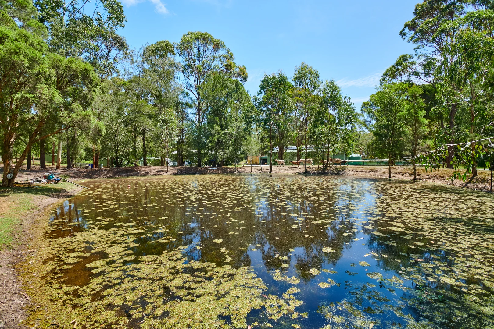 Additional image 25 of 20 Myall Forest Road, Bulahdelah NSW 2423