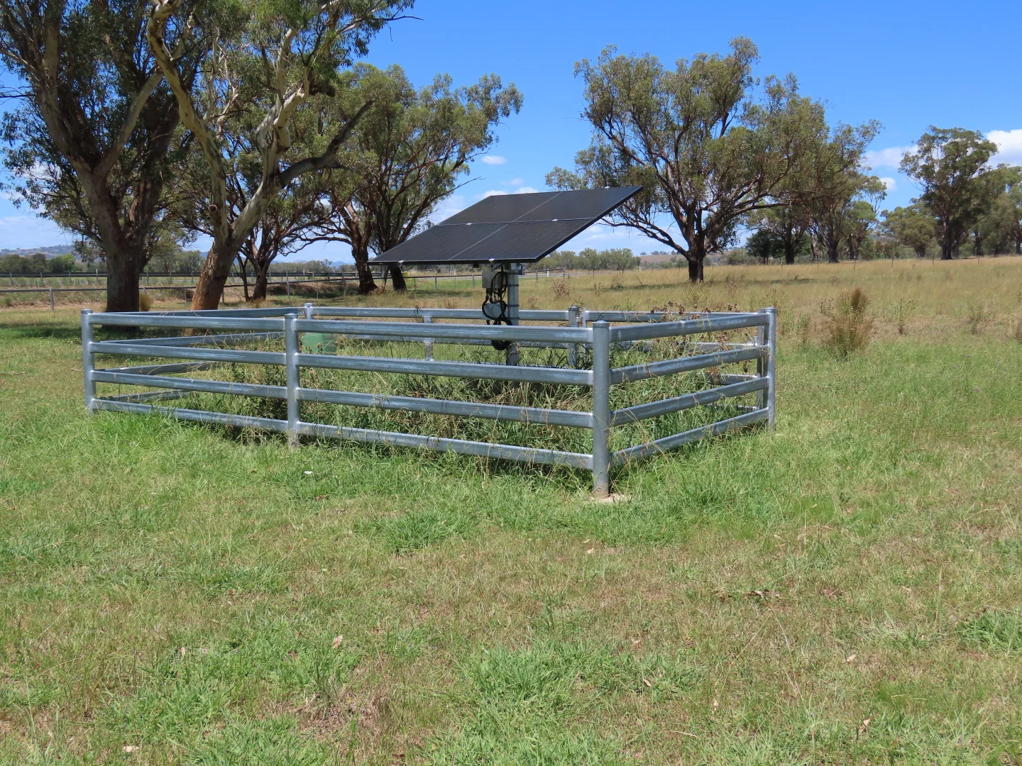 Additional image 5 of "Wattle-wee-doo" 14213 New England HWY, Timbumburi NSW 2340