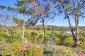Additional image 36 of 3709 Buena Creek Rd, Vista, CA, 92084