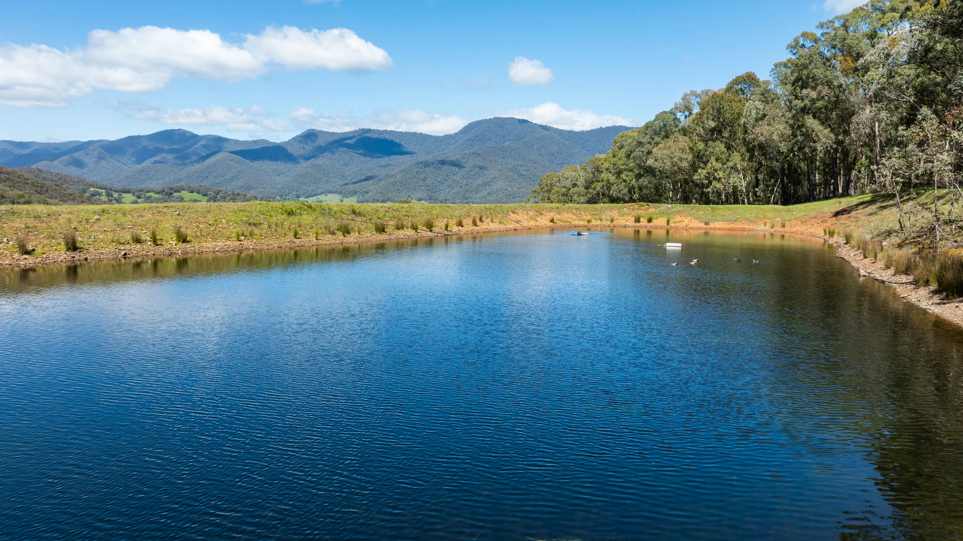 Additional image 22 of 285 Bay Creek Lane, Mongans Bridge VIC 3691