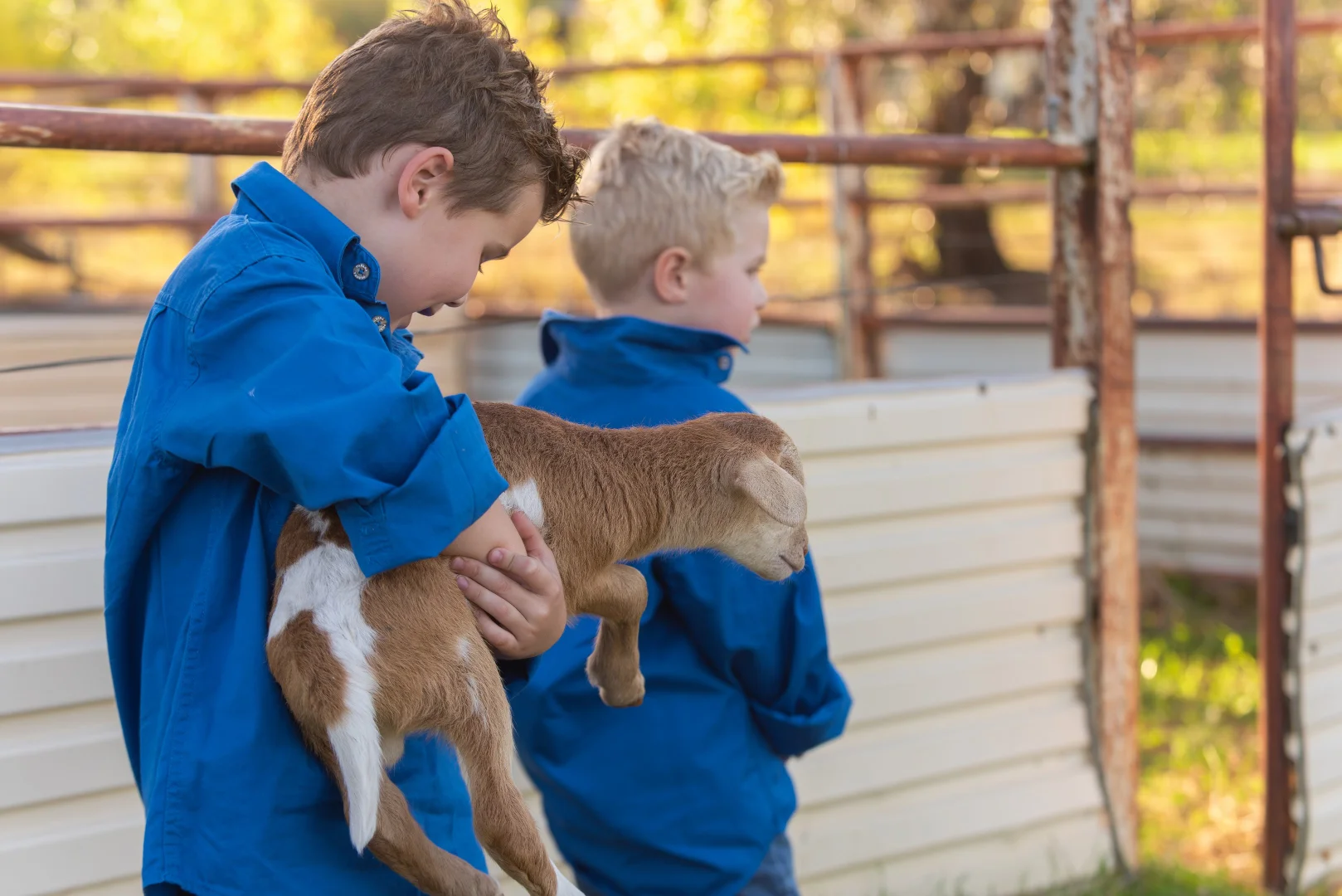 Additional image 2 of 2 White Box Place, Springvale NSW 2650