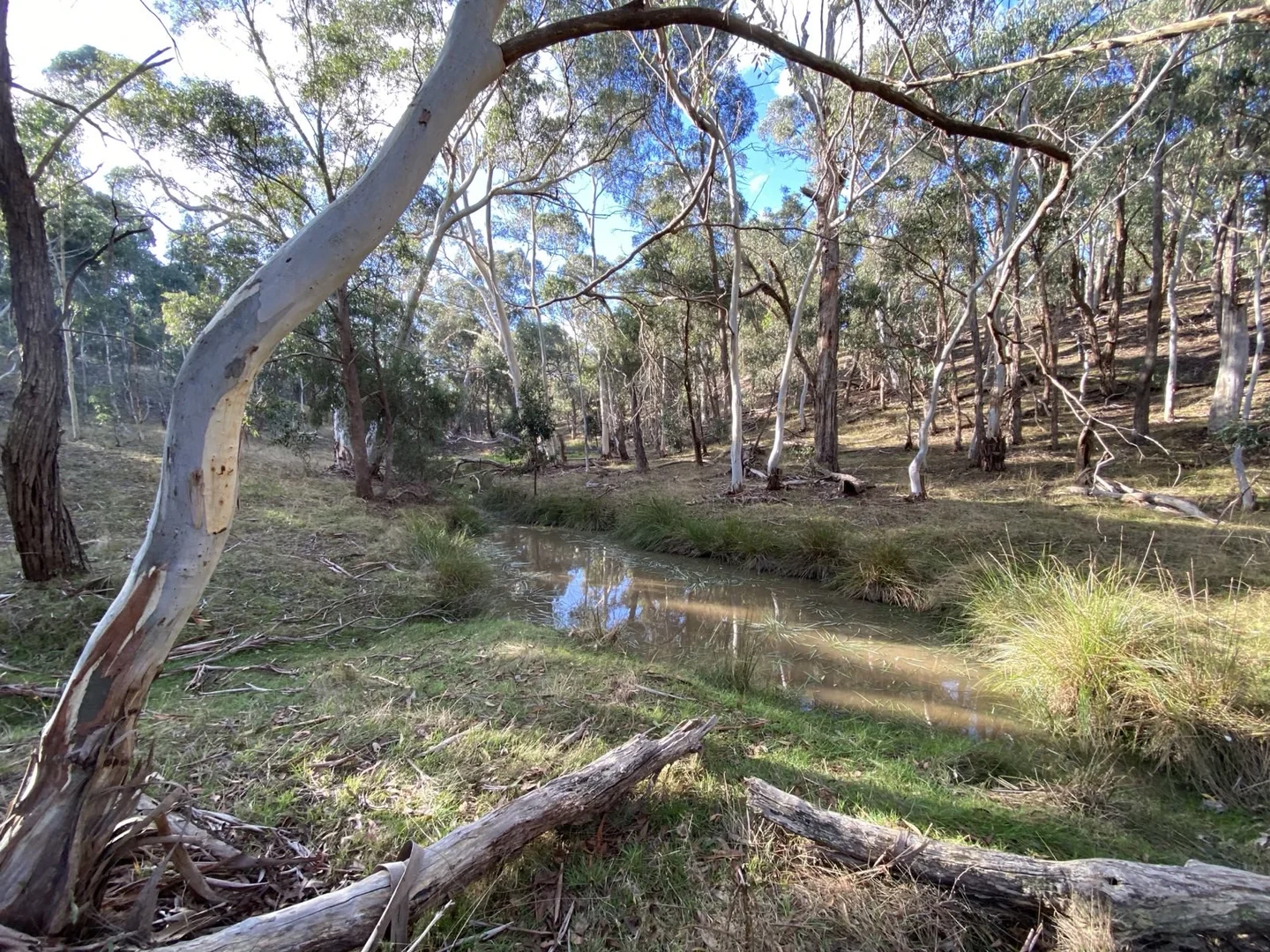 Additional image 9 of 5 Atchison Road, Morrisons VIC 3334