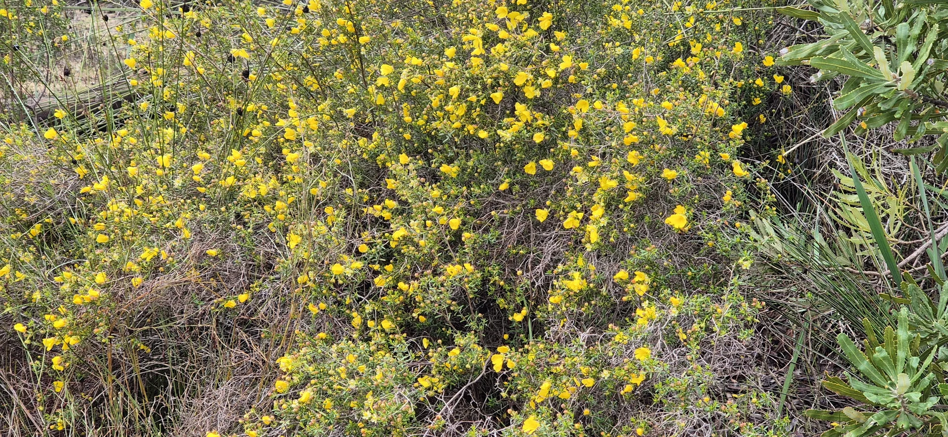 Additional image 14 of 197 Millbank Road, Cowalla WA 6503