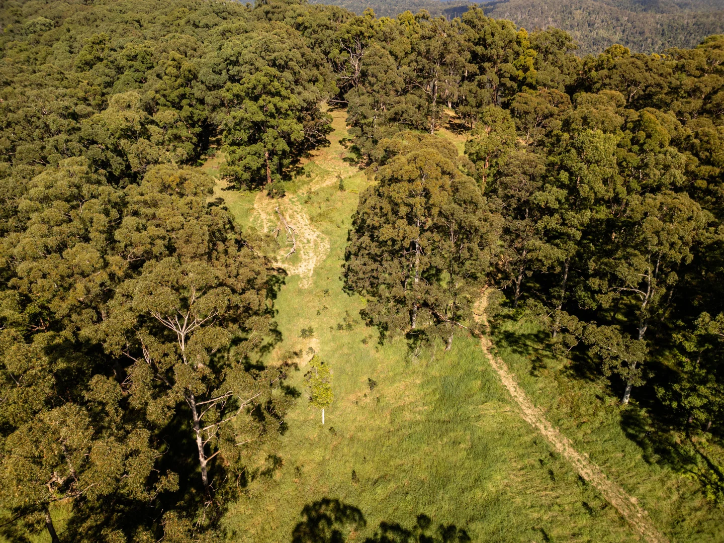 Additional image 17 of 618 Binna Burra Road, Beechmont QLD 4211