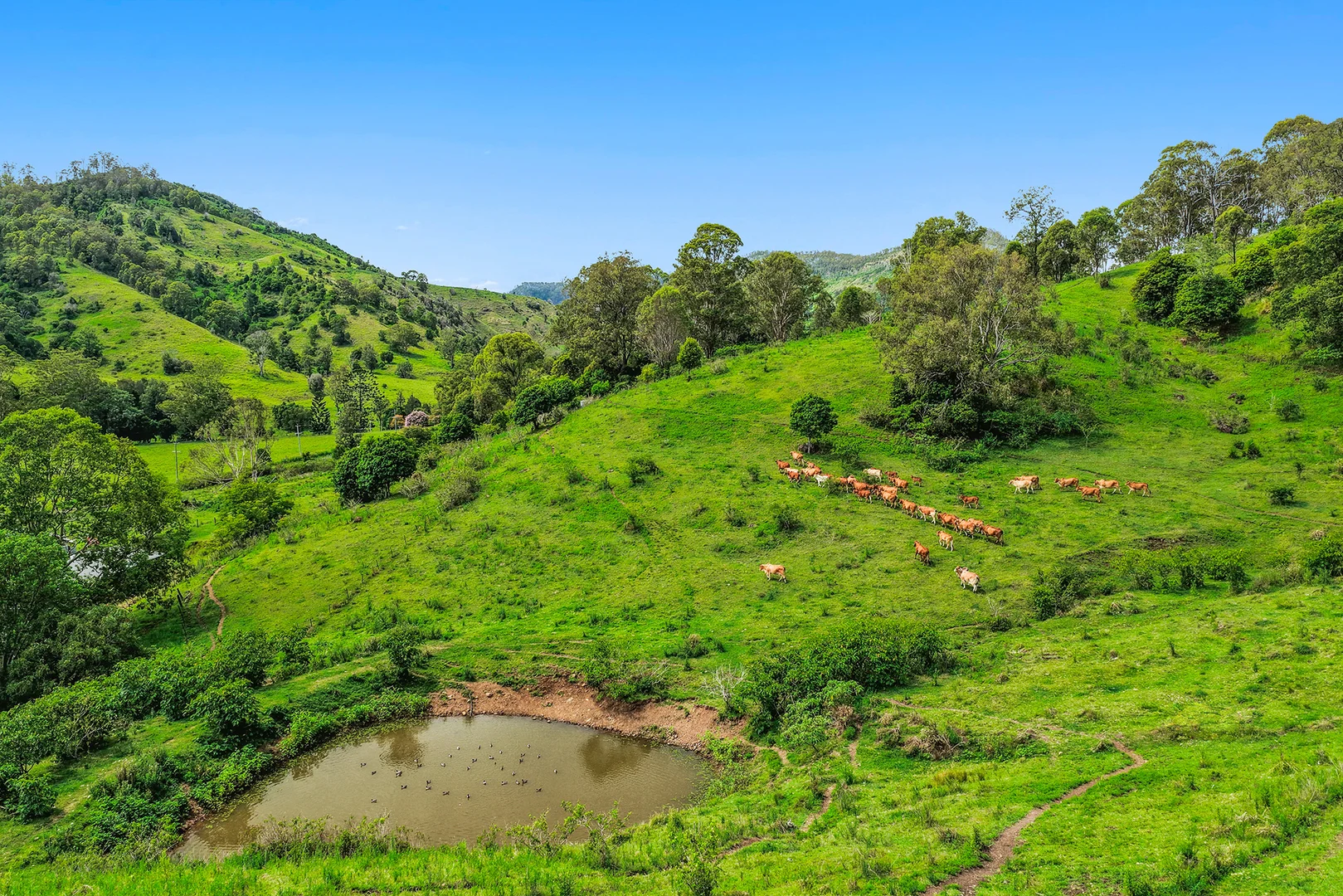 Additional image 22 of 248 Illinbah Road, Illinbah QLD 4275