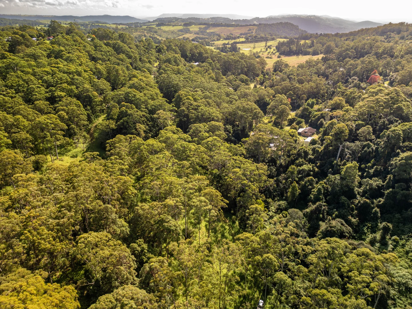 Additional image 19 of 618 Binna Burra Road, Beechmont QLD 4211