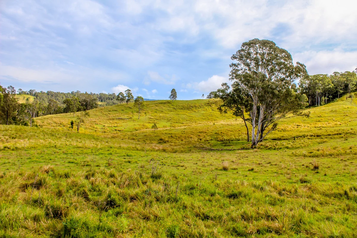 Additional image 3 of 5244 Bruxner Highway, Mummulgum NSW 2469