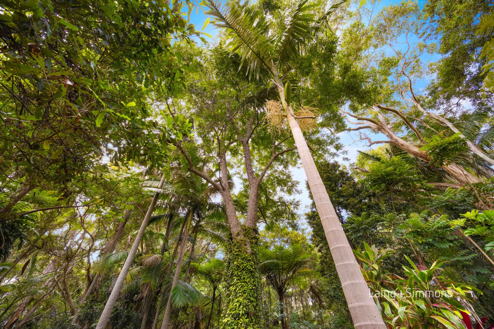 Additional image 23 of 21 Hassall Street, Port Macquarie NSW 2444