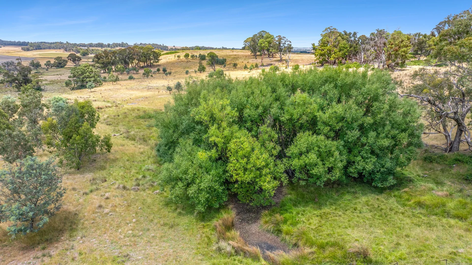 Additional image 5 of 171 Boongarra Road, Laggan via, Crookwell NSW 2583