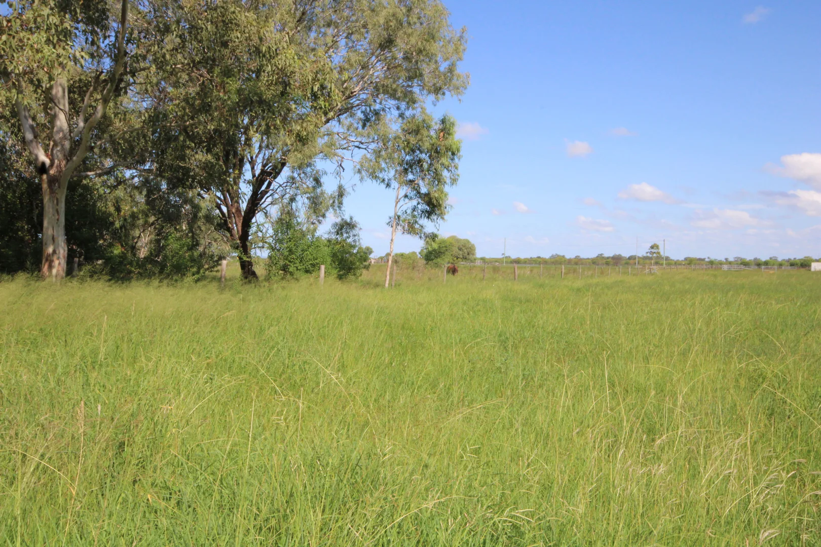 Additional image 33 of 366 GEORGE STREET, Depot Hill QLD 4700