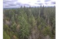 Additional image 27 of 298 Boone Rd, Toledo, WA, 98591