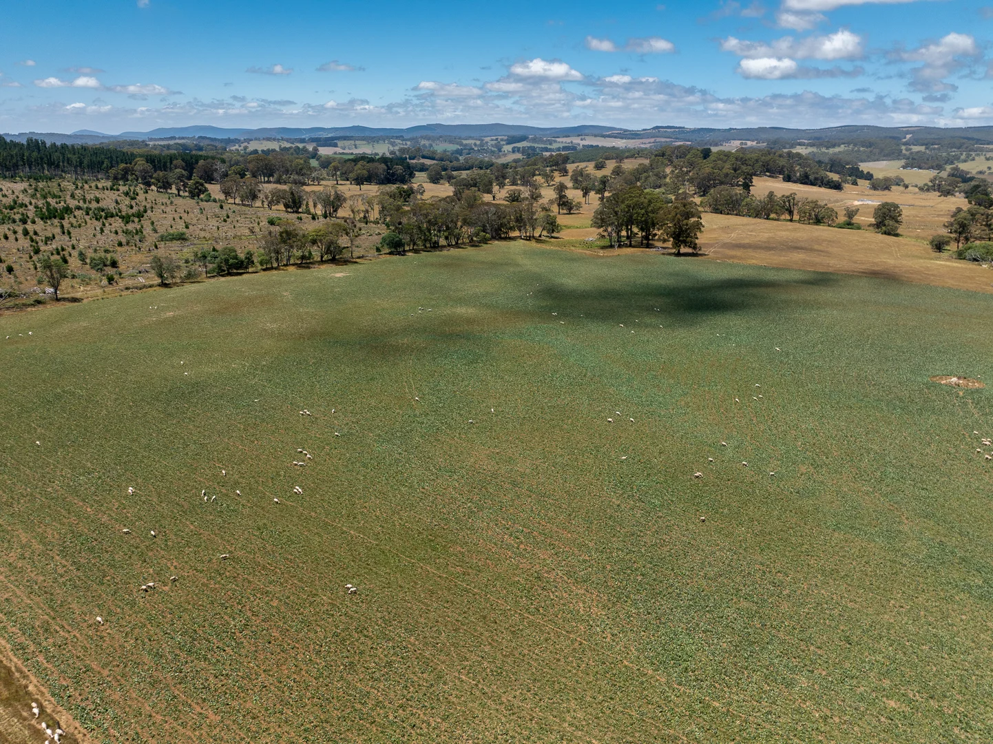 Additional image 29 of 951 Shooters Hill Road, Chatham Valley NSW 2787