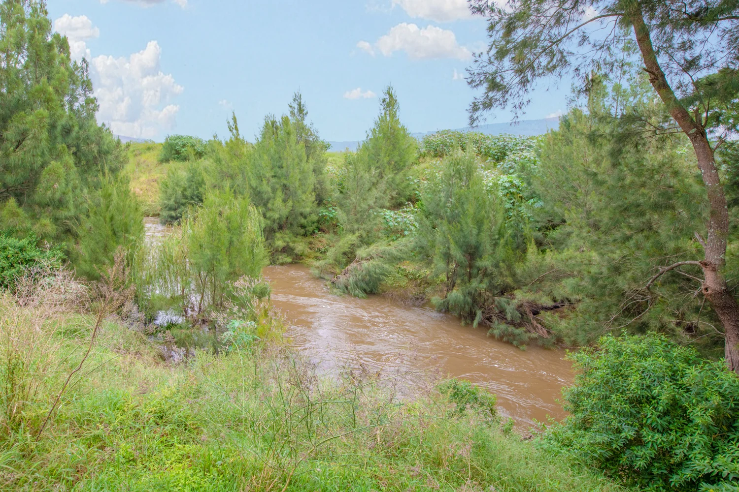 Additional image 3 of 43 Sanctuary Way, Vacy NSW 2421