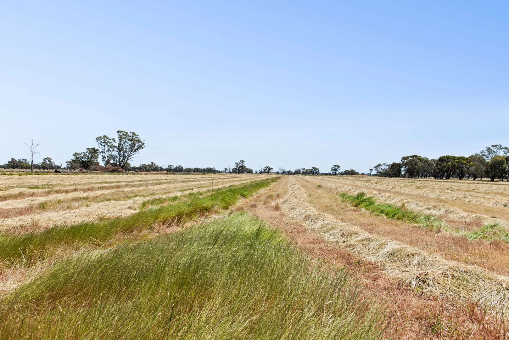 Additional image 9 of Lot N Murphys & Hercus Road, Calivil VIC 3573