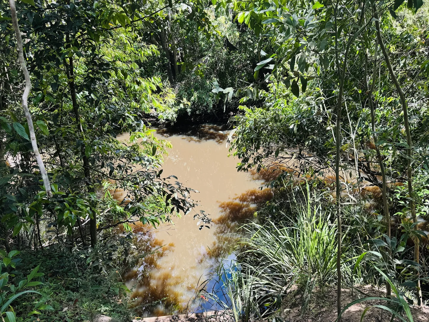 Additional image 28 of 40 Olivers Road, Goodwood QLD 4660