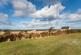 Additional image 33 of Barrock, Thurso, Highland. KW14 8SY