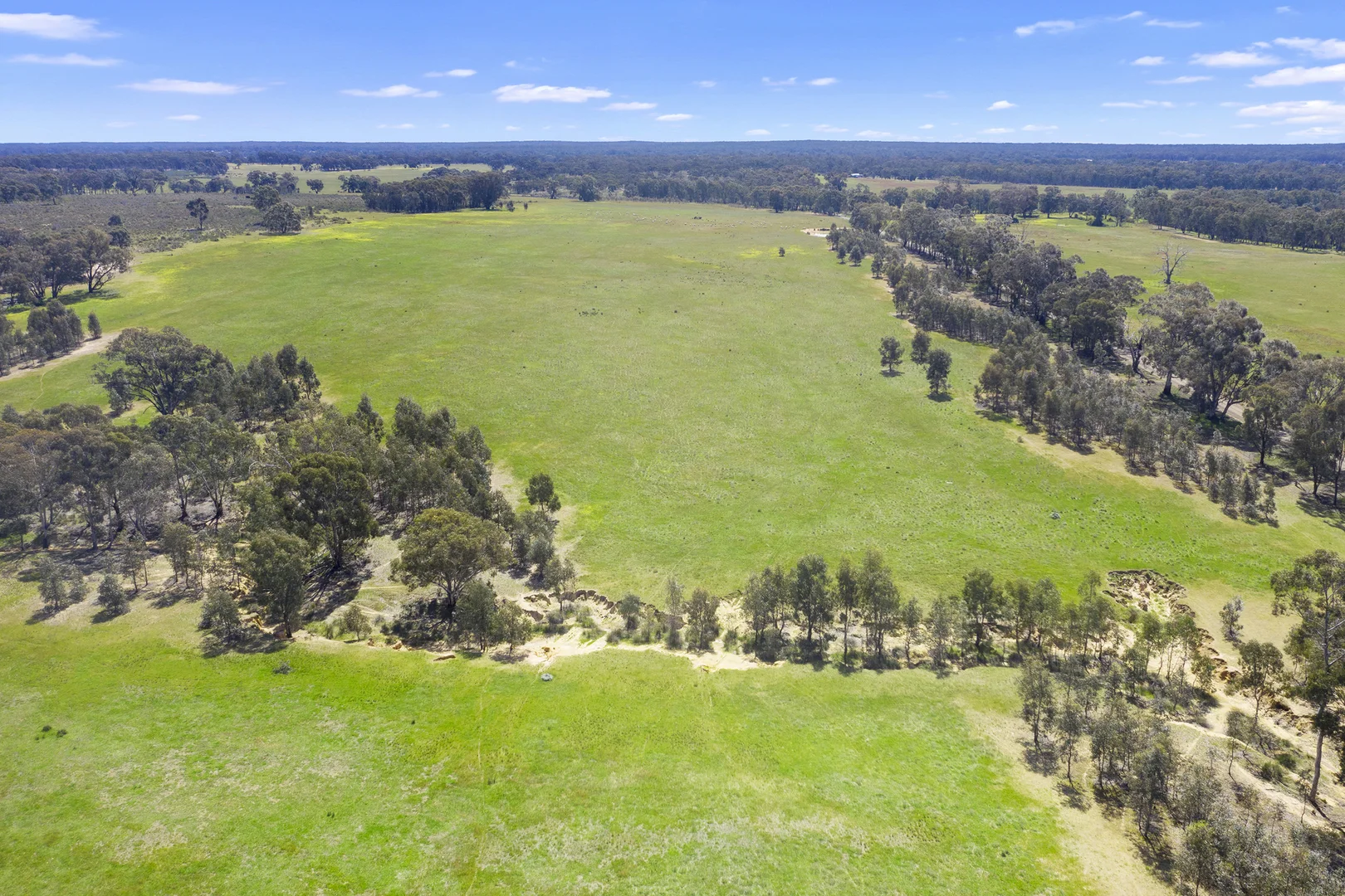 Additional image 20 of 1 Hawkins Estate, McIvor Highway, Axedale VIC 3551