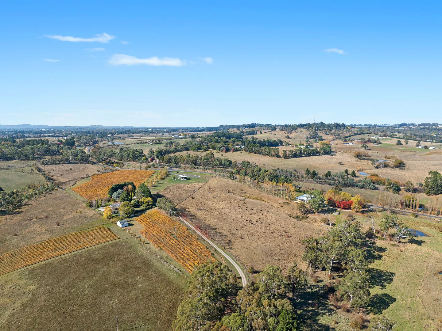 Additional image 20 of 432 Cargo Road, Orange NSW 2800