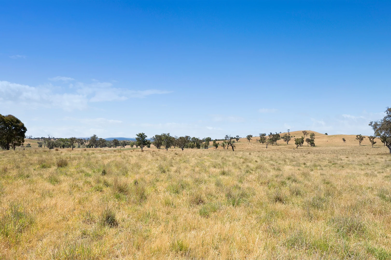 Additional image 19 of 2593 Four Mile Creek Road, Orange NSW 2800