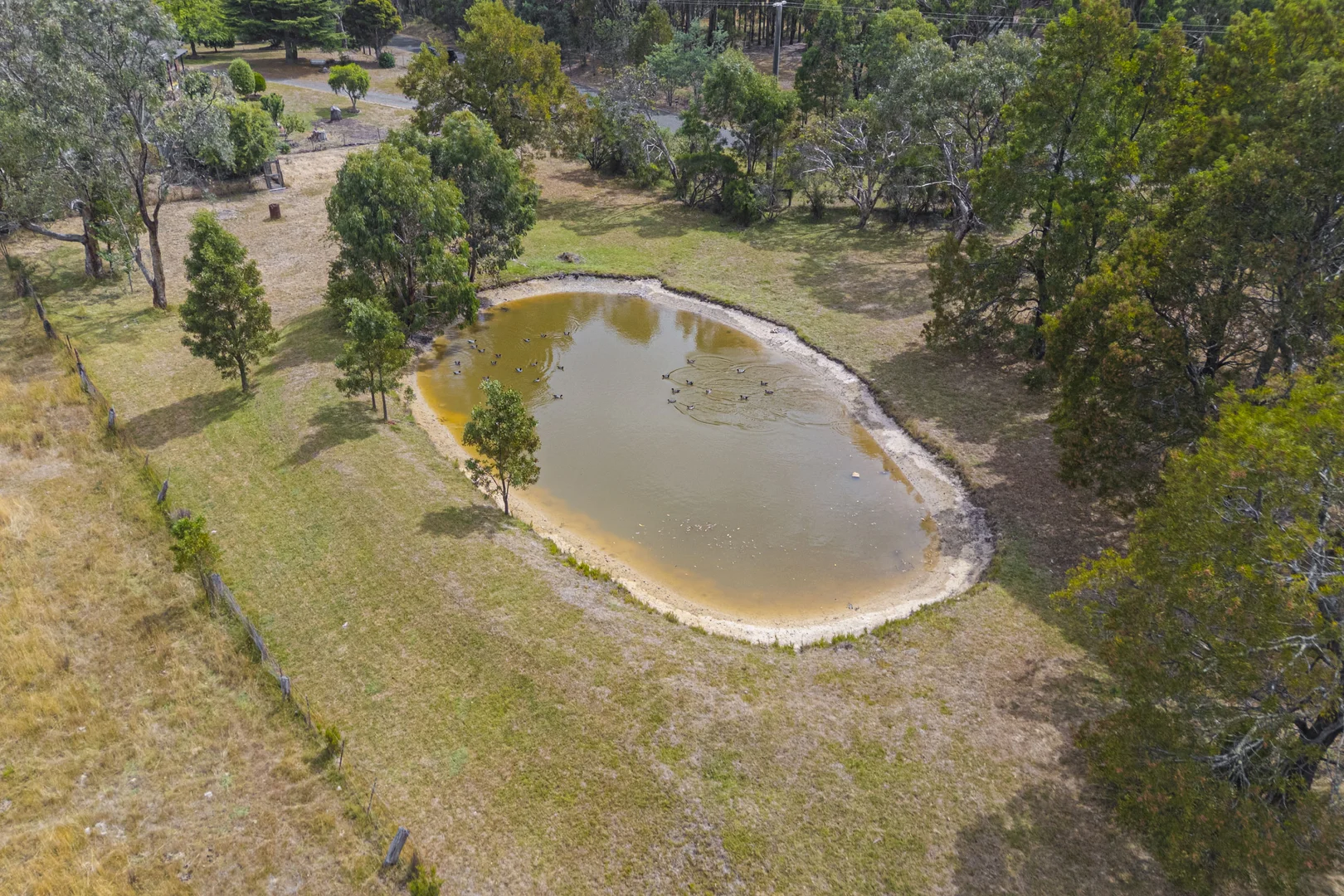 Additional image 24 of 43 Briardale Avenue, Enfield VIC 3352