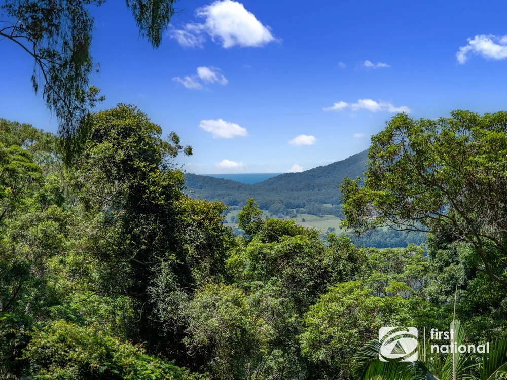 Additional image 20 of Lot 65 North Island Loop Road, Upper Orara NSW 2450