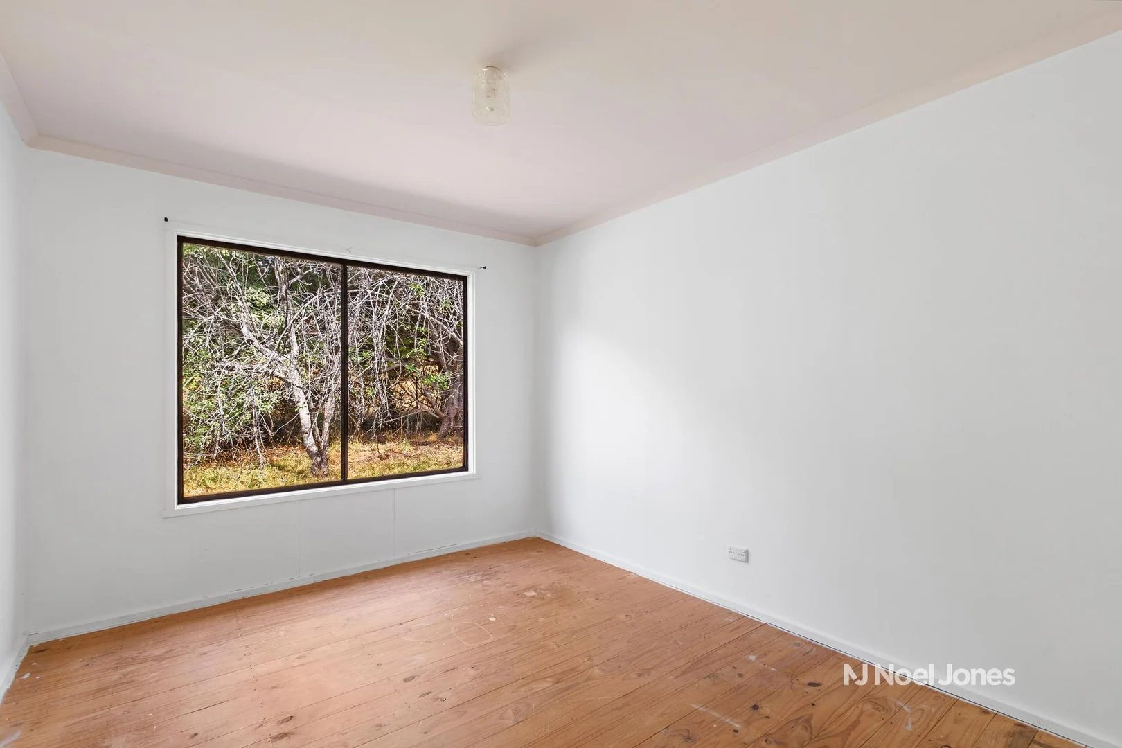 Additional image 9 of 456 Two Hills Road, Glenburn VIC 3717