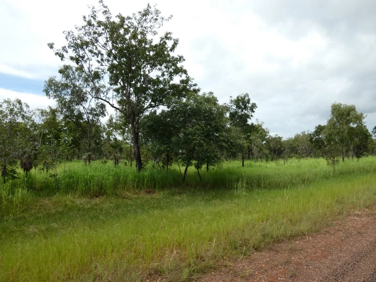 Additional image 10 of 2936 Litchfield Park Road, Charlotte NT 0822