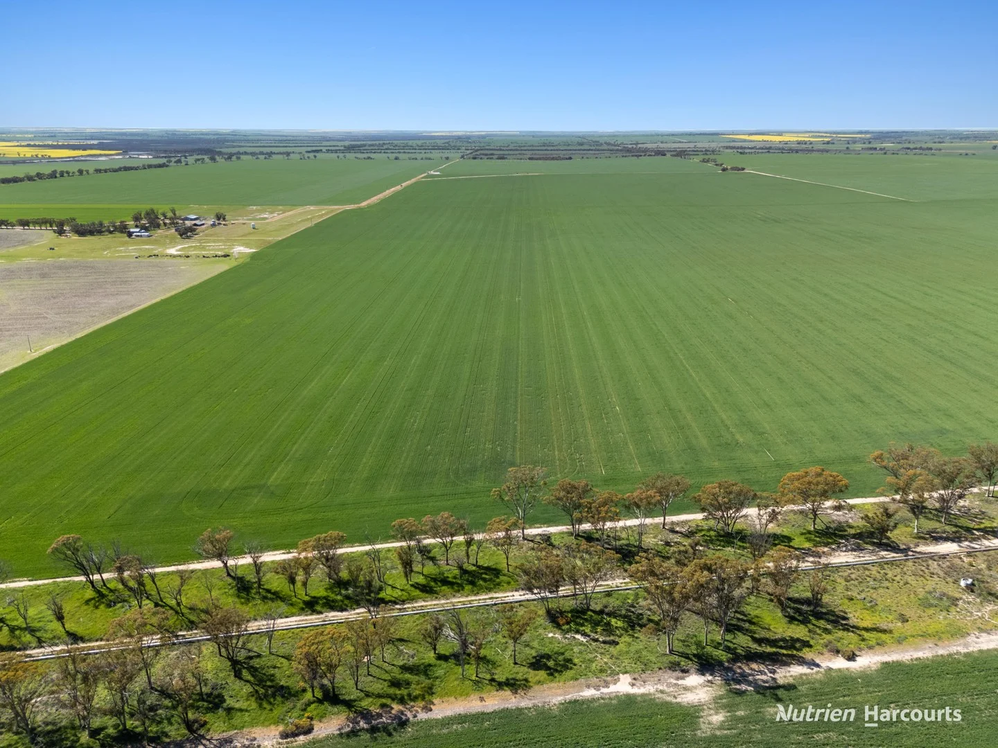 . 'Lydford' and 'Lees', Dowerin WA 6461