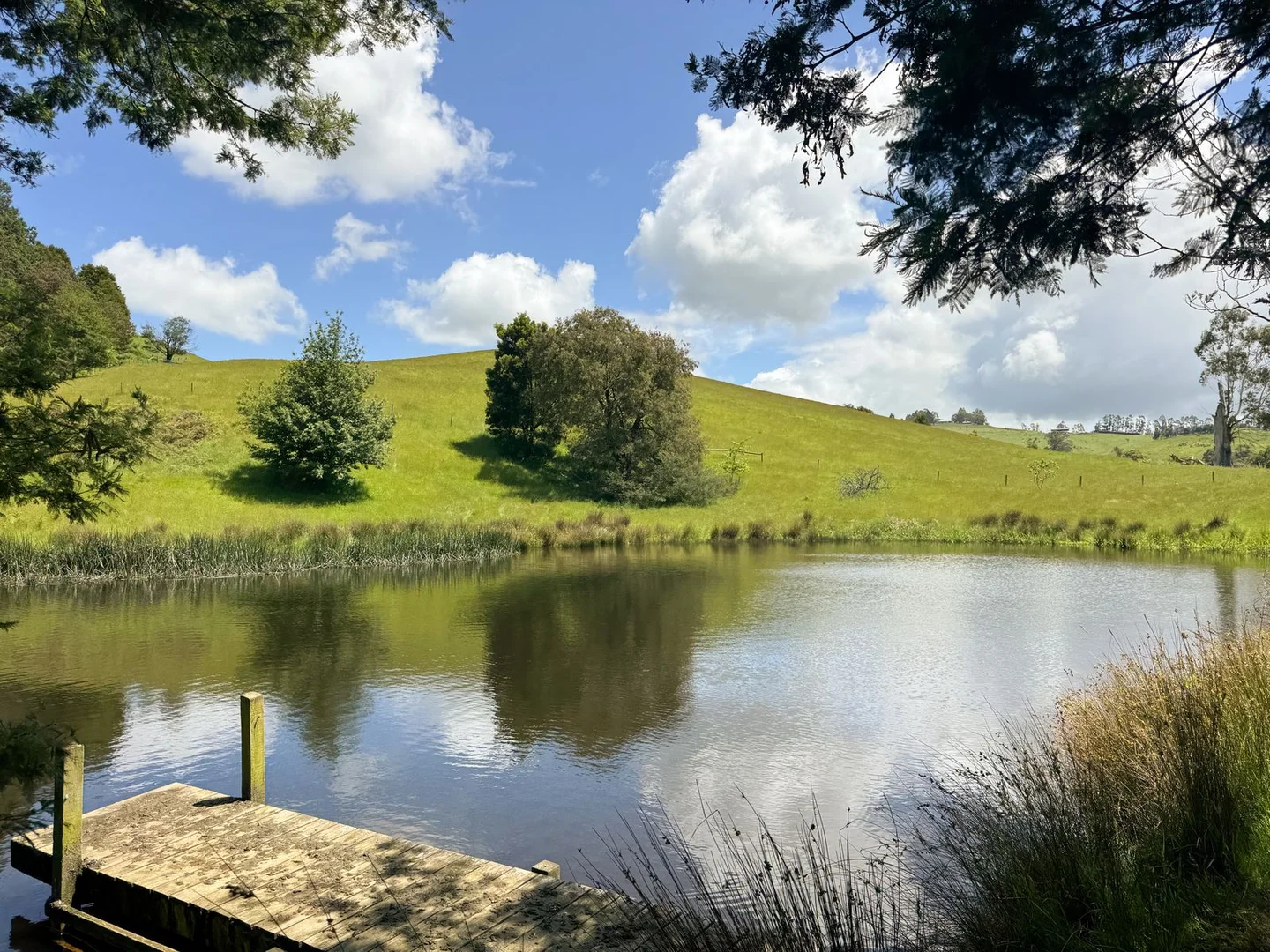 Additional image 11 of 1725 Wild Dog Valley, Strzelecki VIC 3950