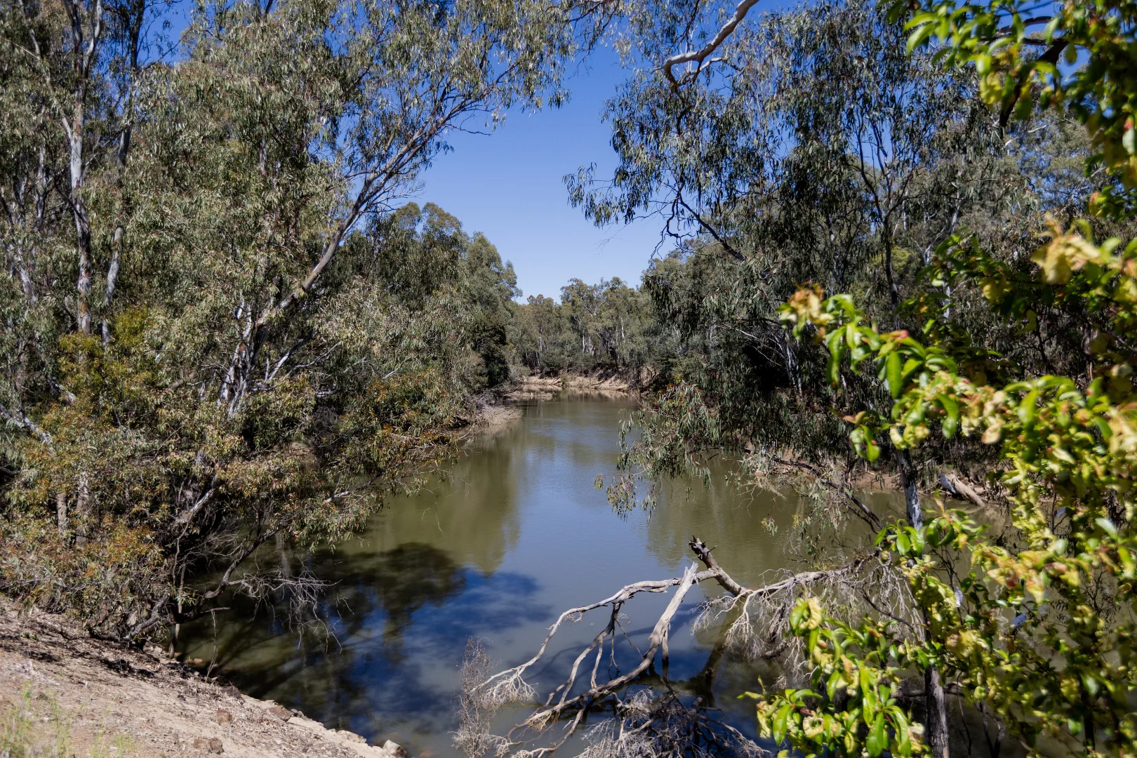 Additional image 22 of 2-16 Mason Street, Shepparton VIC 3630