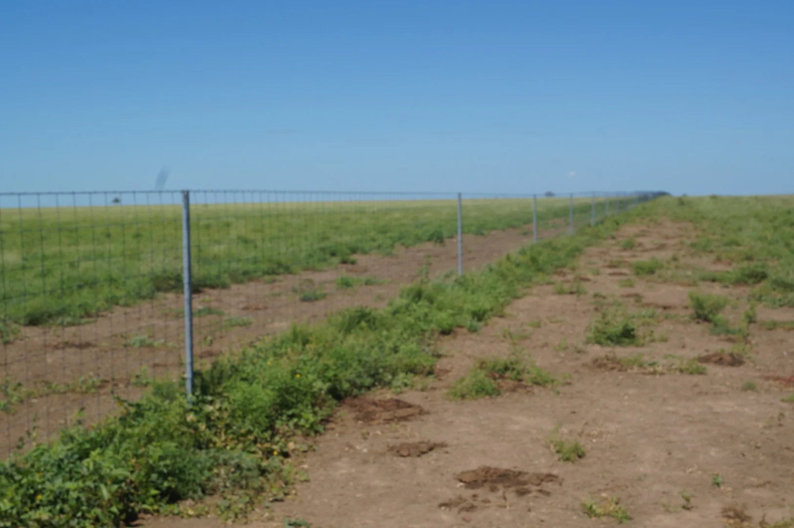 Additional image 24 of 1 Baratria Road, Longreach QLD 4730