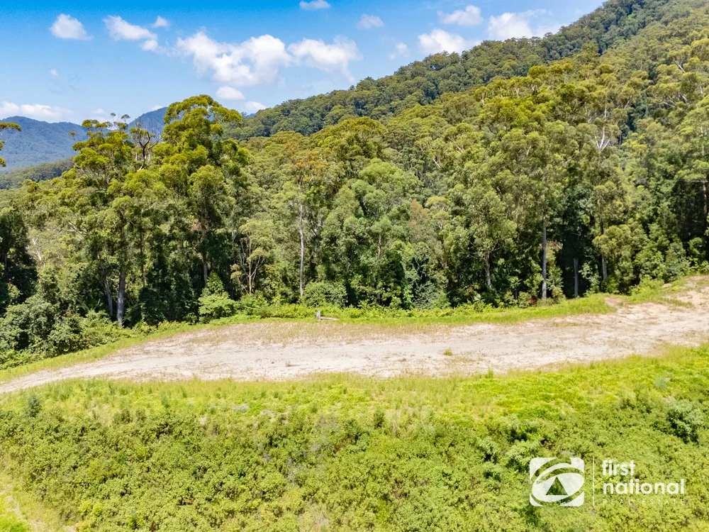 Additional image 3 of Lot 65 North Island Loop Road, Upper Orara NSW 2450