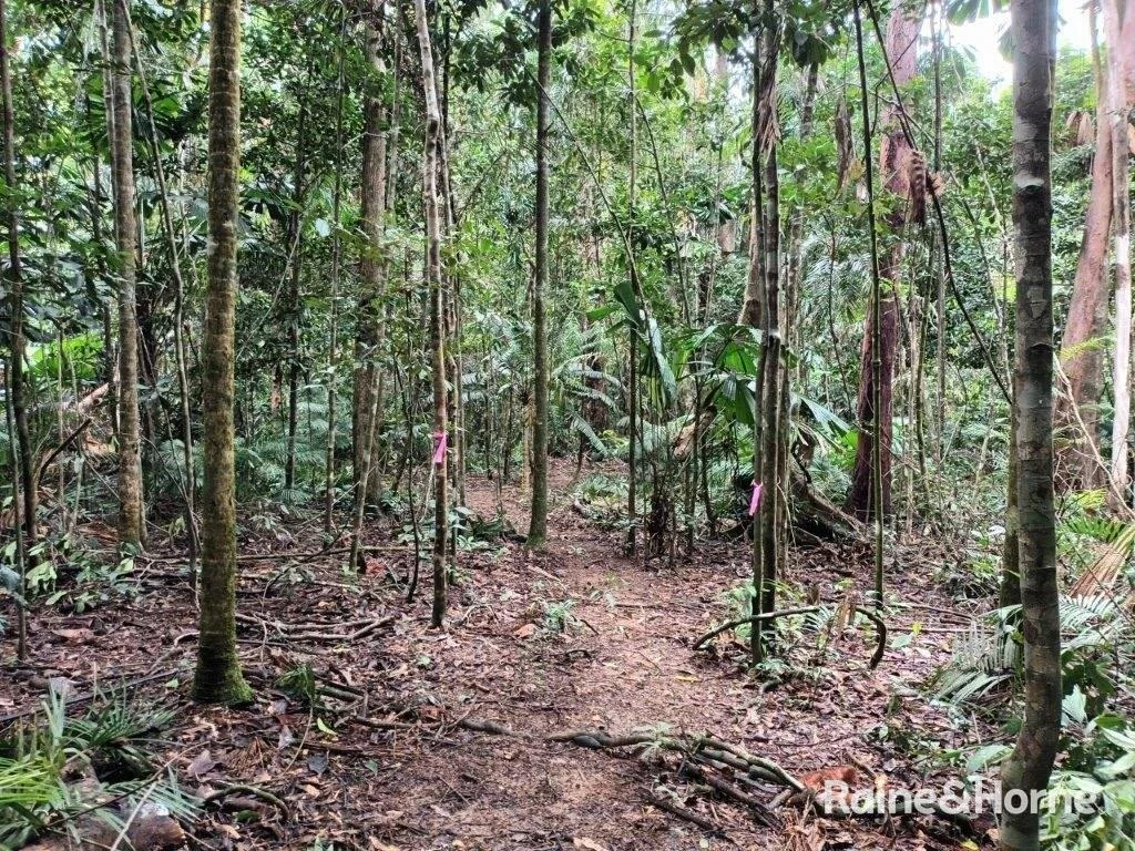 Additional image 20 of Lot 11 Milky Pine Road, Kimberley, Daintree QLD 4873