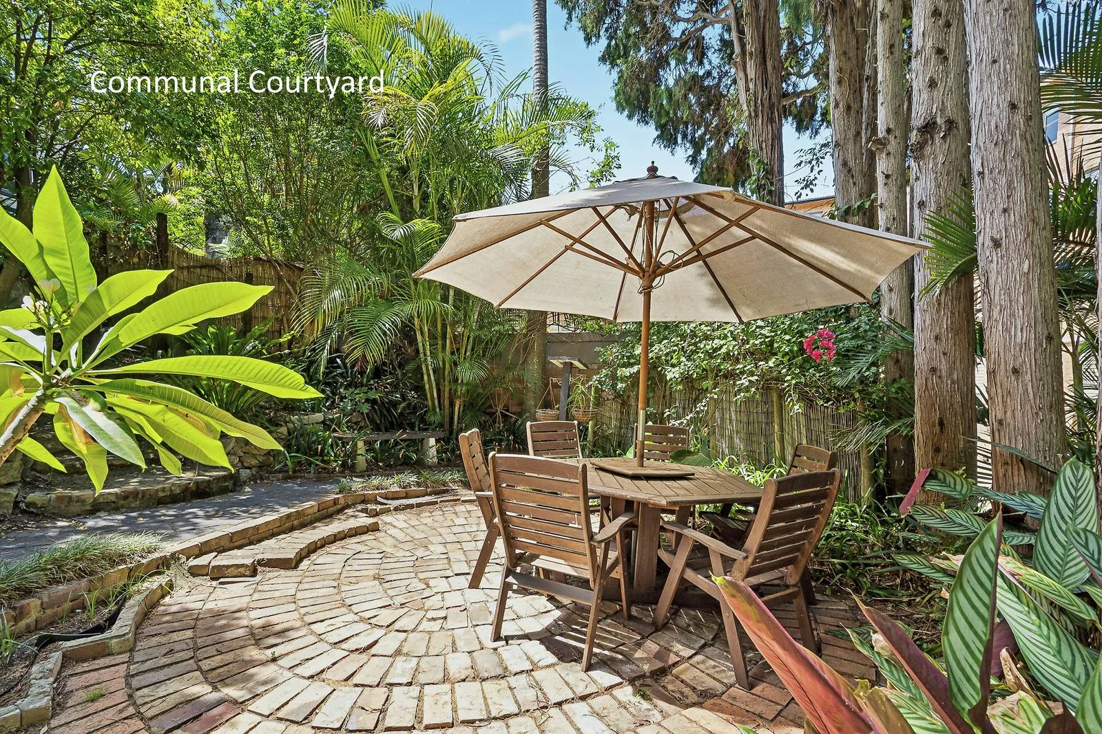 Additional image 10 of 3/23 Murdoch Street, Cremorne NSW 2090