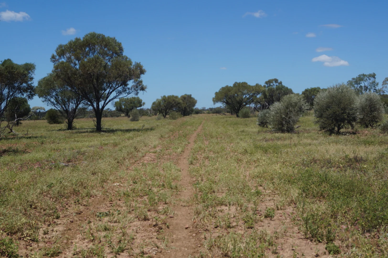 Additional image 19 of 1 Baratria Road, Longreach QLD 4730