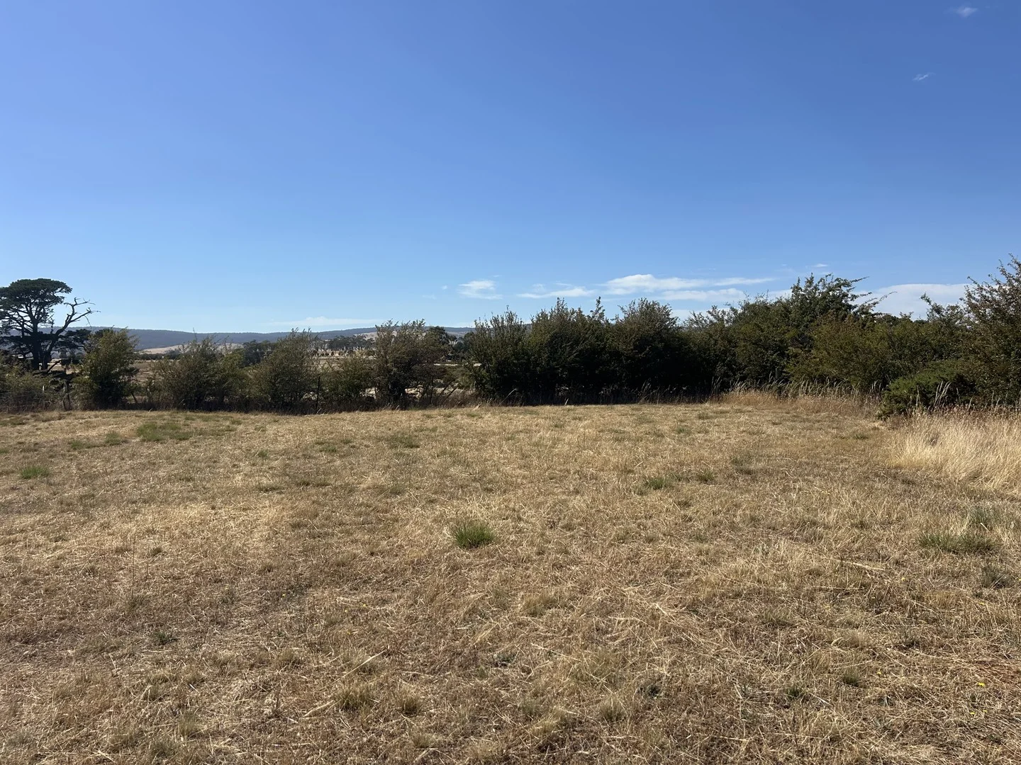 Additional image 2 of 31 Torlesse Street, Campbell Town TAS 7210