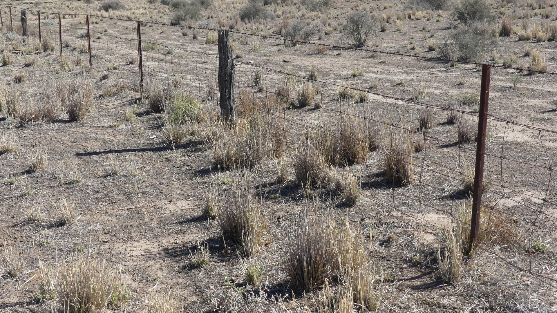 Additional image 19 of Warren NSW 2824