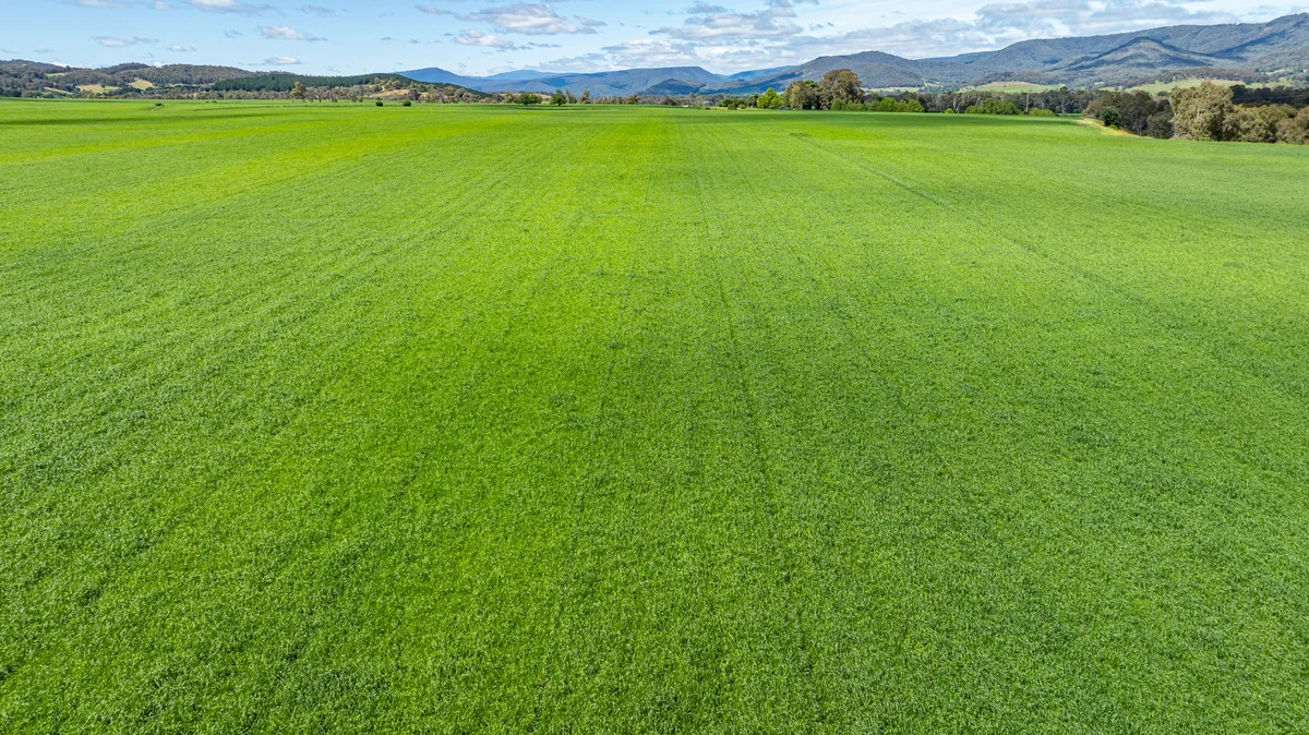 Additional image 7 of 1279 Edi-Cheshunt Road, Whitfield VIC 3733