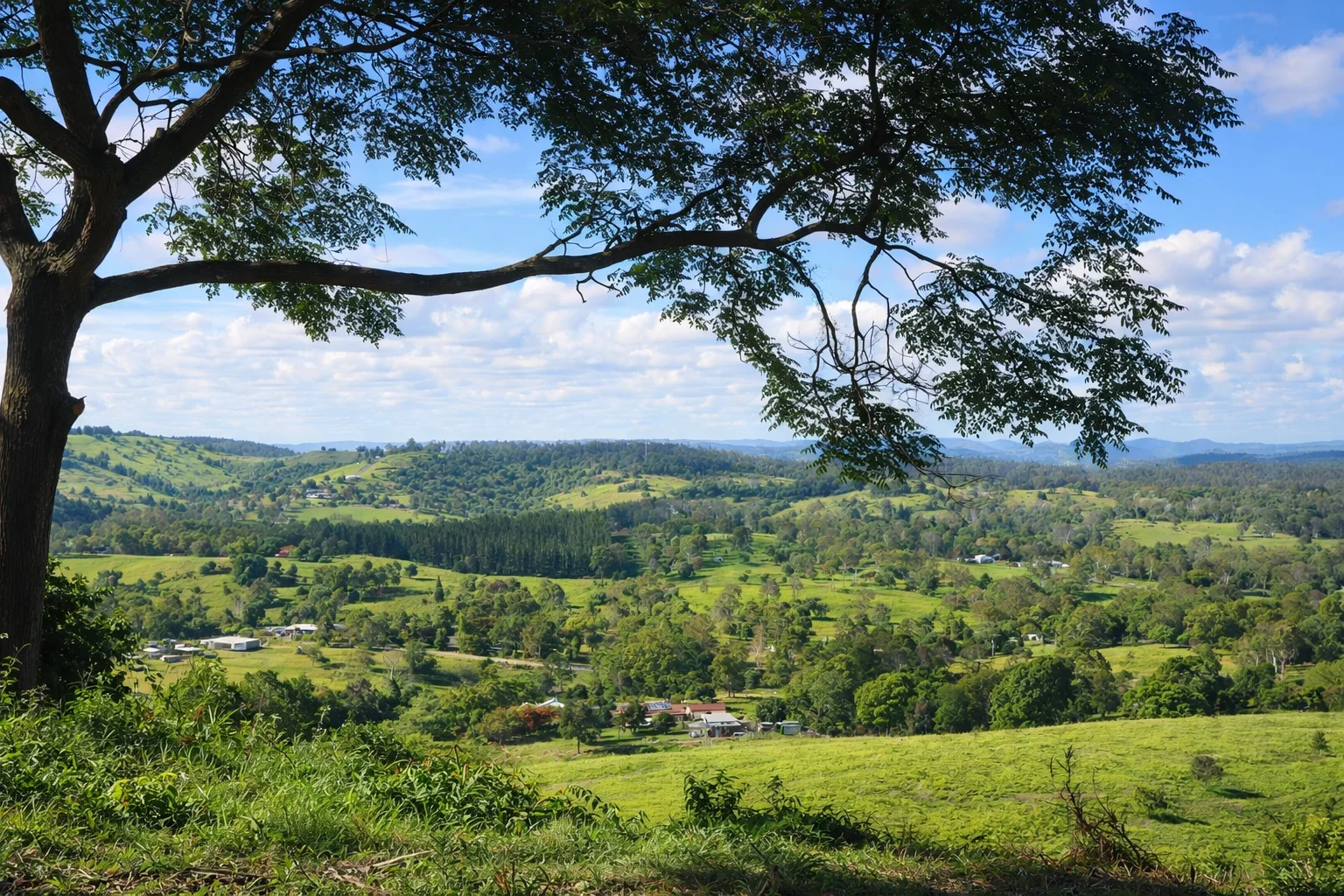 Additional image 9 of 205 Allen Road, Chatsworth QLD 4570