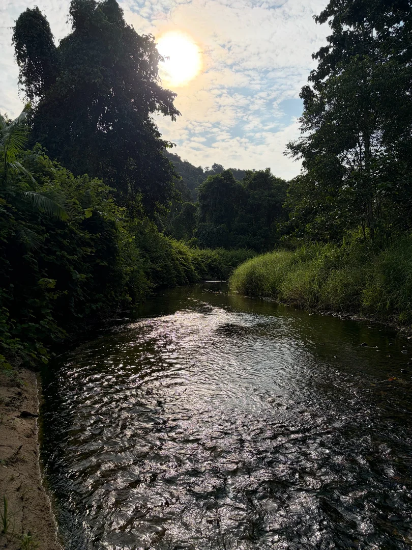 Additional image 11 of 252 Jackson Road, Shell Pocket QLD 4855