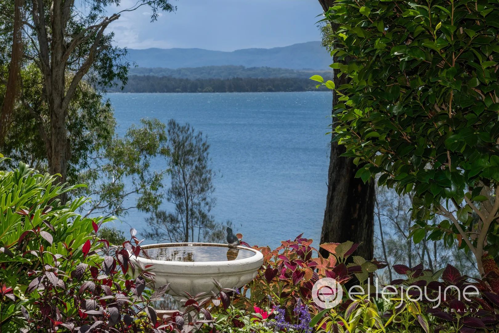 Additional image 7 of 17 King Street, Balcolyn NSW 2264