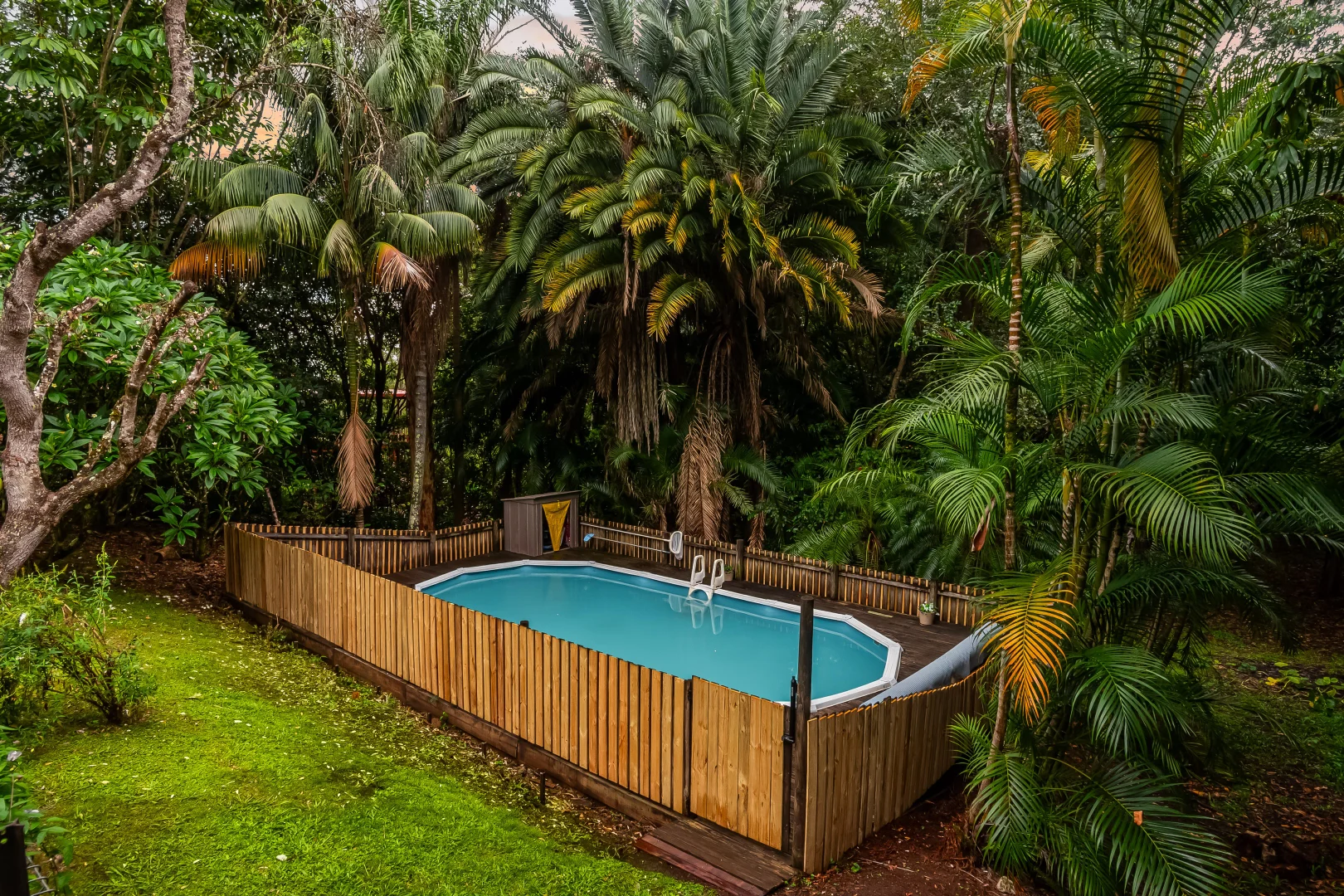 Additional image 16 of 3 Tamarind Close, Richmond Hill NSW 2480