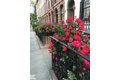 Additional image 27 of 177 Ninth Ave Unit 5D, Manhattan, NY, 10011