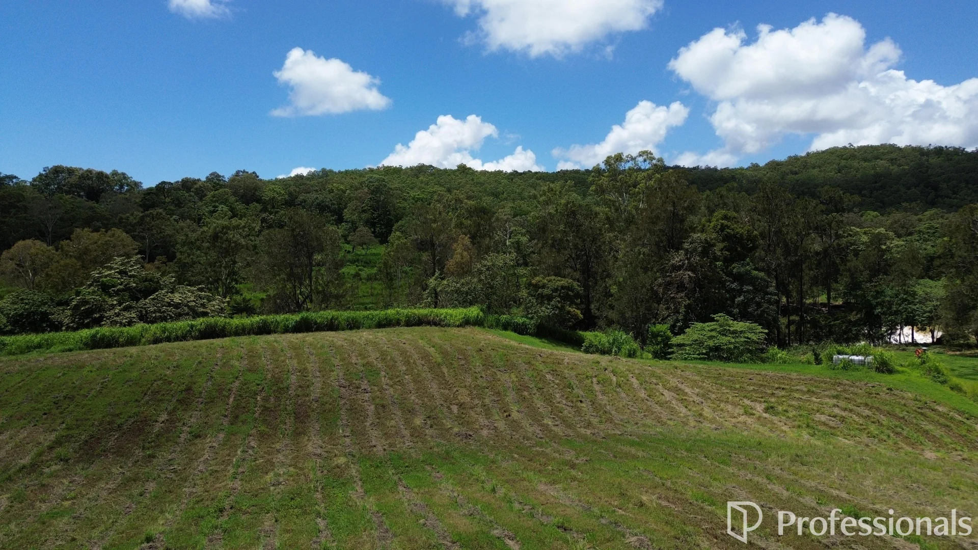 Additional image 13 of 143 Marlborough-Sarina Road, Sarina QLD 4737