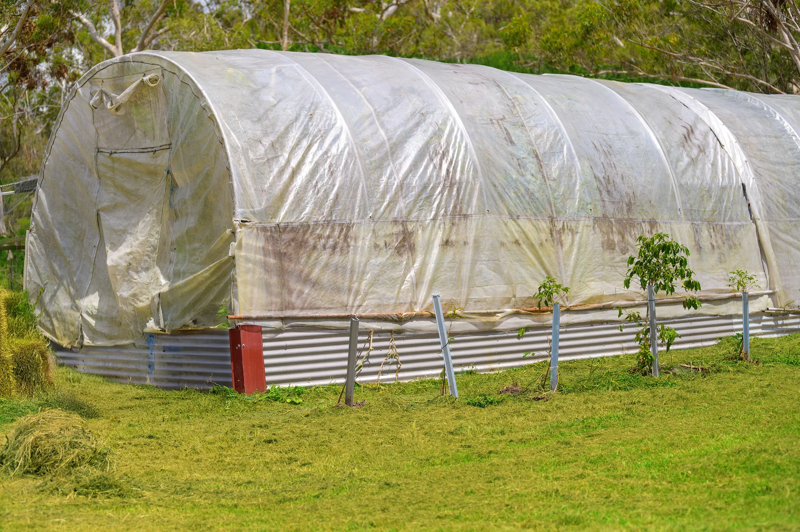 Additional image 15 of 47 Osborne Court, Wallu QLD 4570