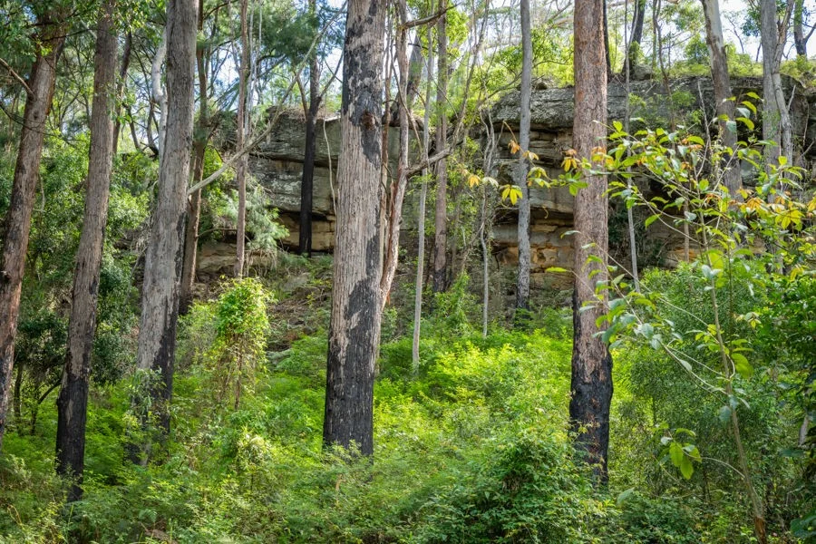 Additional image 4 of 1458 Sherwood Creek Road, Sherwood NSW 2450