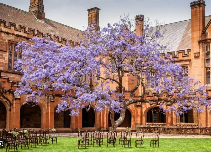 Additional image 20 of G/F/1 Stedman Street, Rosebery NSW 2018