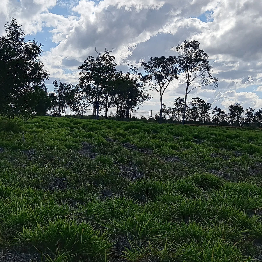 Additional image 7 of 1/133 Price Street, Kensington QLD 4670